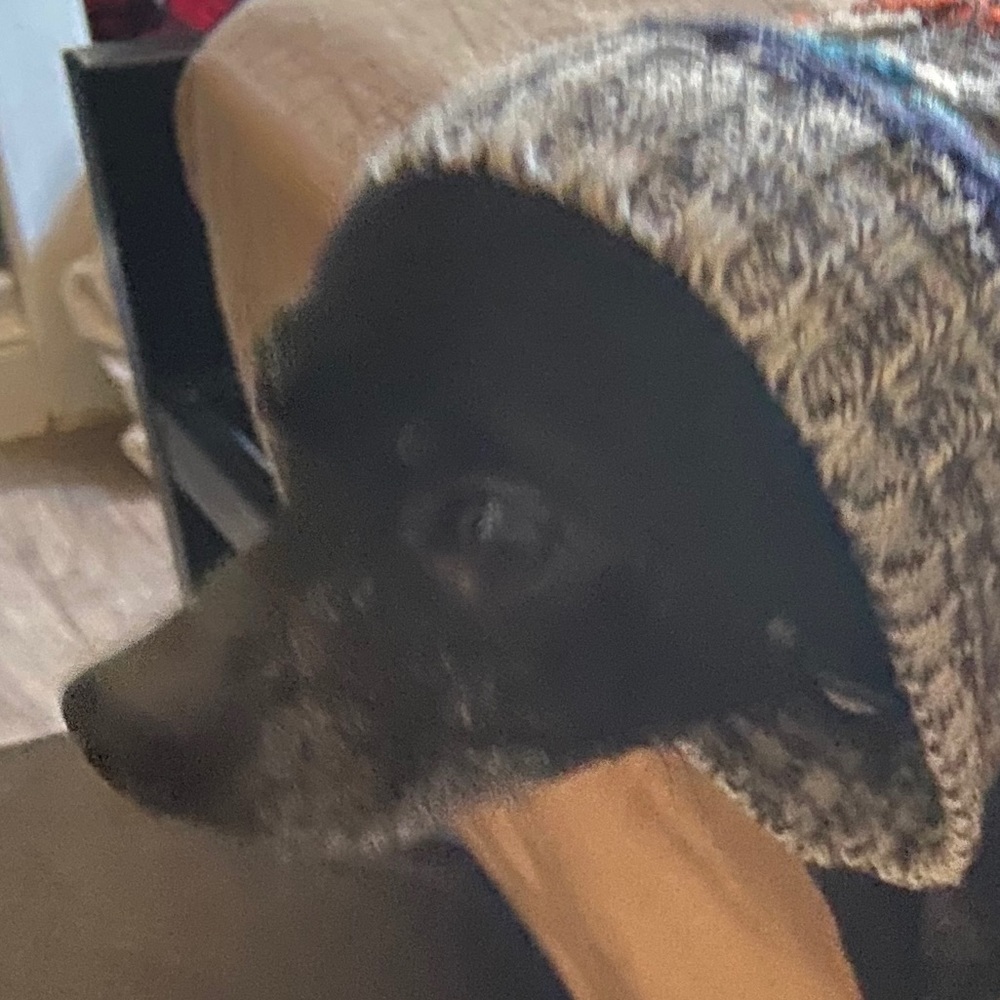 Meet your Posher, Edgar